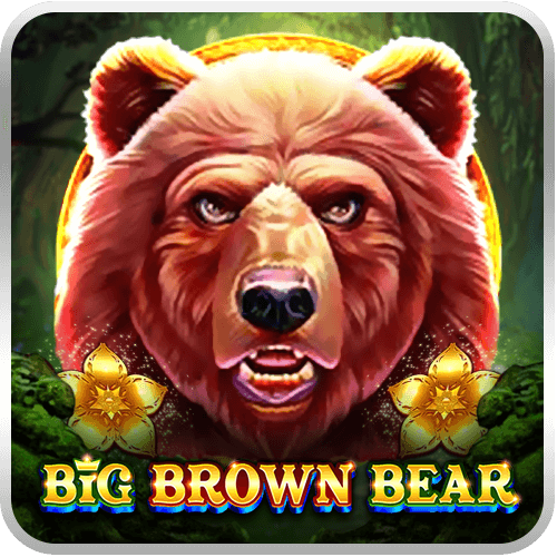 Big Brown Bear-icon